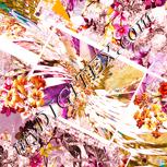 Colour:J