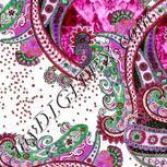 Colour:B