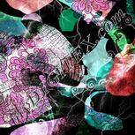 Colour:B