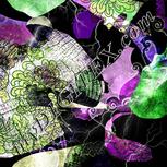 Colour:D
