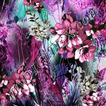Colour:B