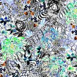 Colour:F