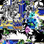 Colour:F