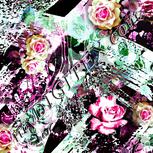 Colour:B