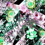 Colour:C