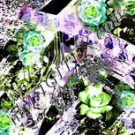 Colour:D