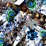 Colour:F