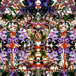 Colour:A