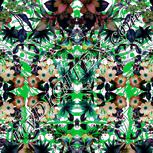 Colour:C