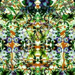 Colour:K