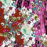 Colour:B