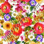 Colour:A