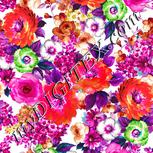 Colour:B