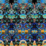 Colour:F