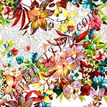 Colour:A