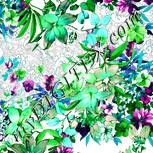 Colour:C