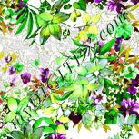 Colour:D