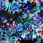 Colour:F
