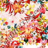 Colour:J
