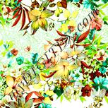 Colour:K