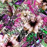 Colour:B