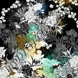 Colour:A