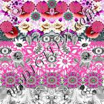 Colour:B
