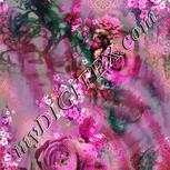 Colour:B