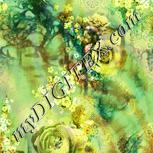 Colour:K