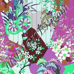 Colour:C