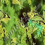 Colour:K