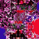 Colour:B
