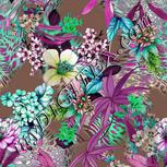 Colour:C