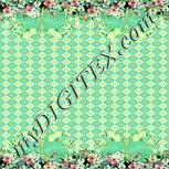 Colour:K