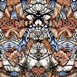 Colour:A