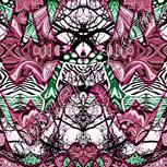 Colour:B