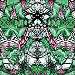 Colour:C