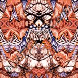 Colour:J