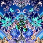 Colour:F