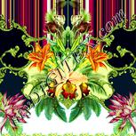 Colour:K