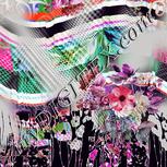 Colour:B