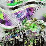 Colour:D