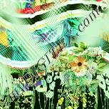 Colour:K