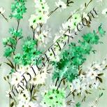 Colour:D