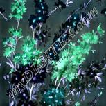Colour:F