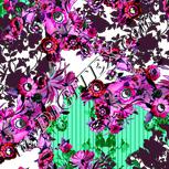 Colour:B