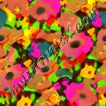 Colour:B