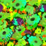 Colour:C