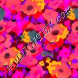 Colour:J