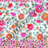 Colour:B